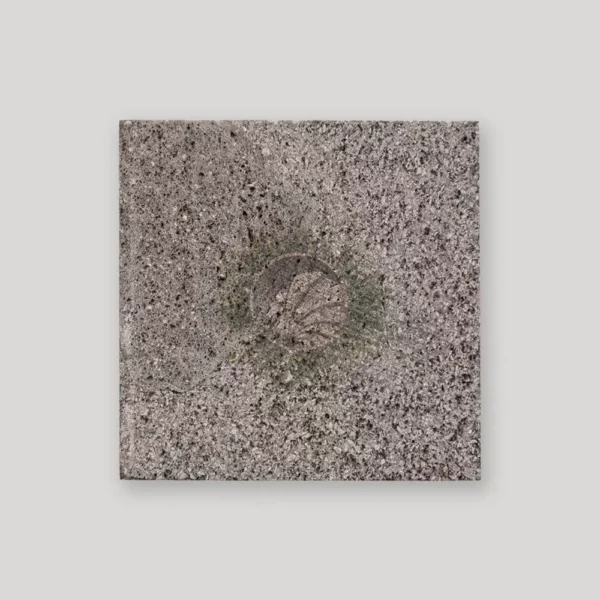 Black Lava Stone 10x10 - Imagen 2